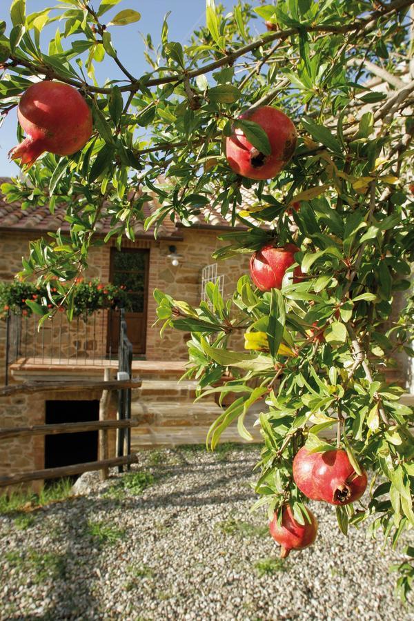 Ferienwohnung Agriturismo Le Calle Cinigiano Exterior foto